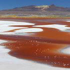 Laguna Colorada