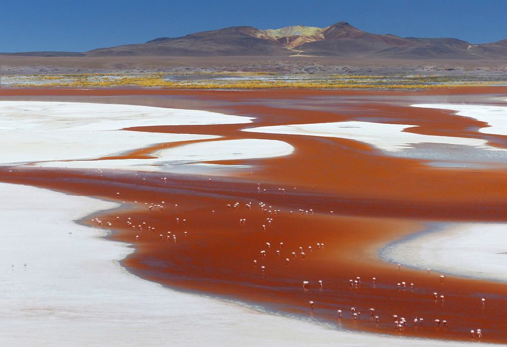 Laguna Colorada