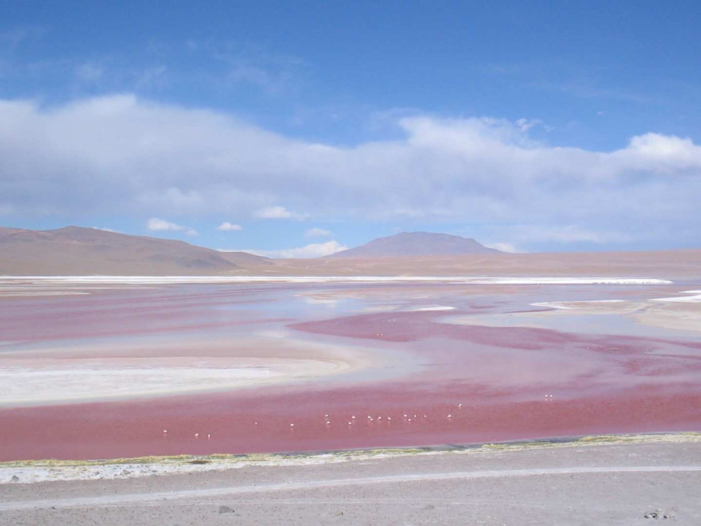 Laguna colorada