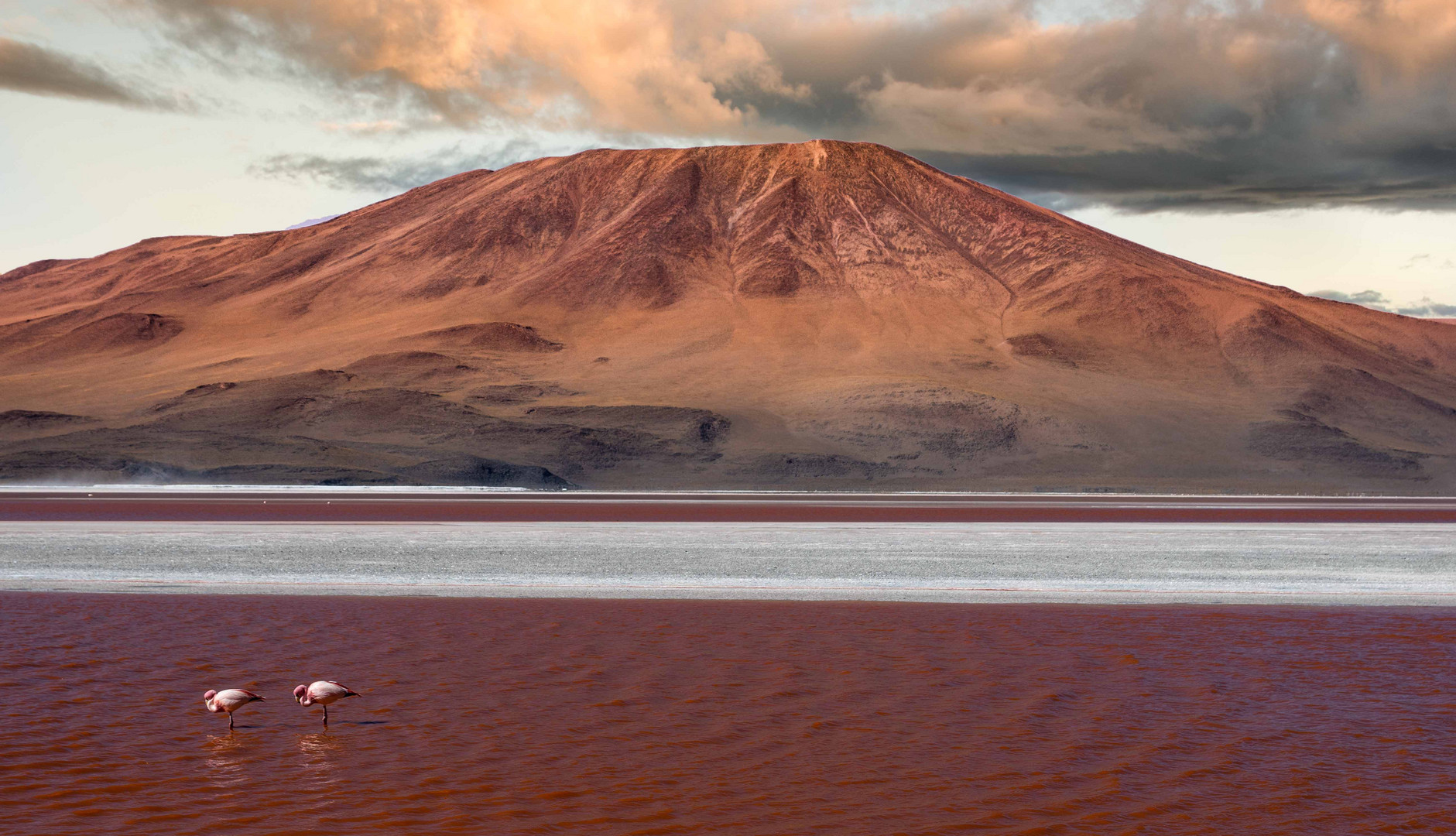 Laguna Colorada