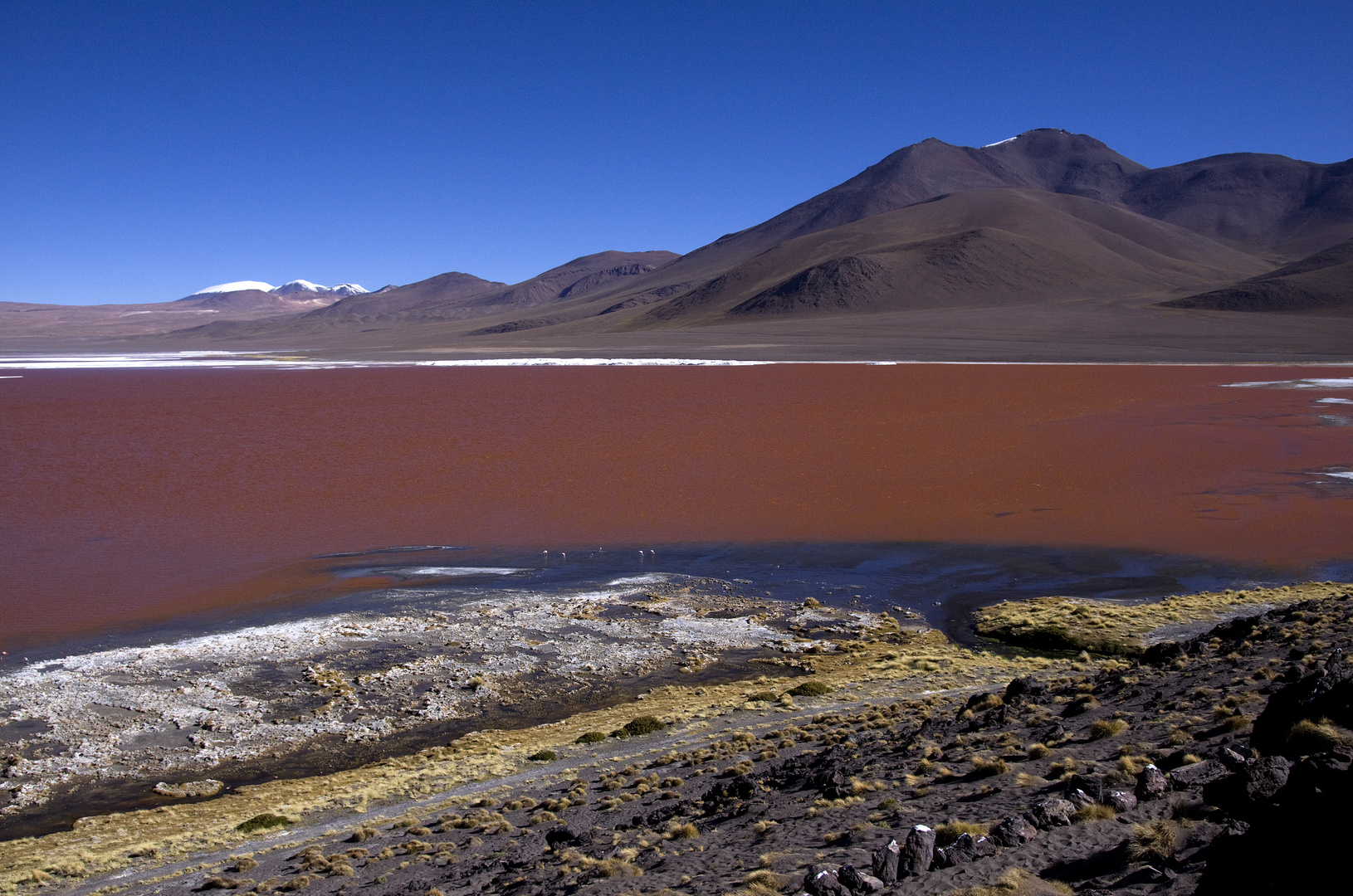 Laguna Colorada auf 4278 m...