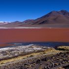 Laguna Colorada auf 4278 m...