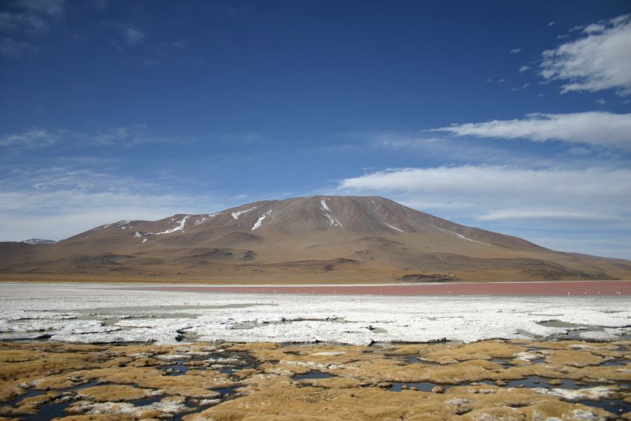 Laguna Colorada