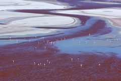 Laguna Colorada