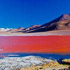 Laguna Colorada, Bolivia