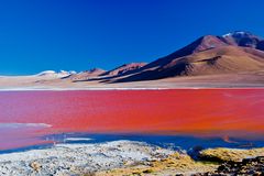 Laguna Colorada, Bolivia