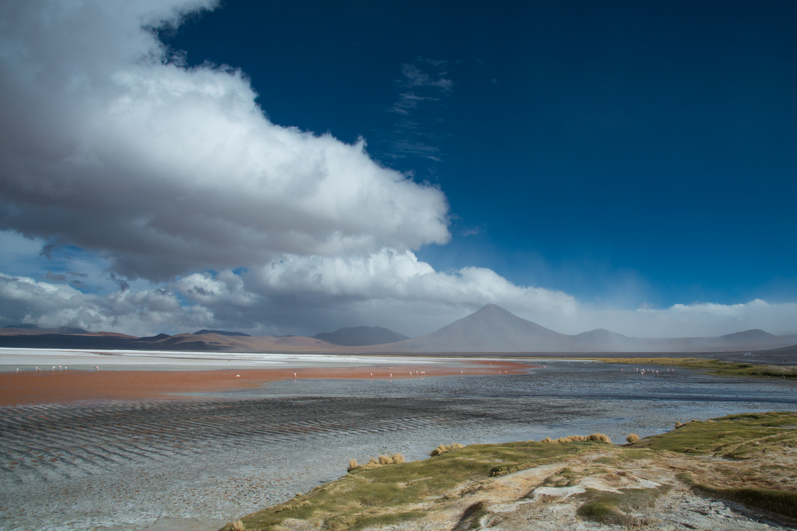 Laguna Colorada Bolivien