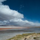 Laguna Colorada Bolivien