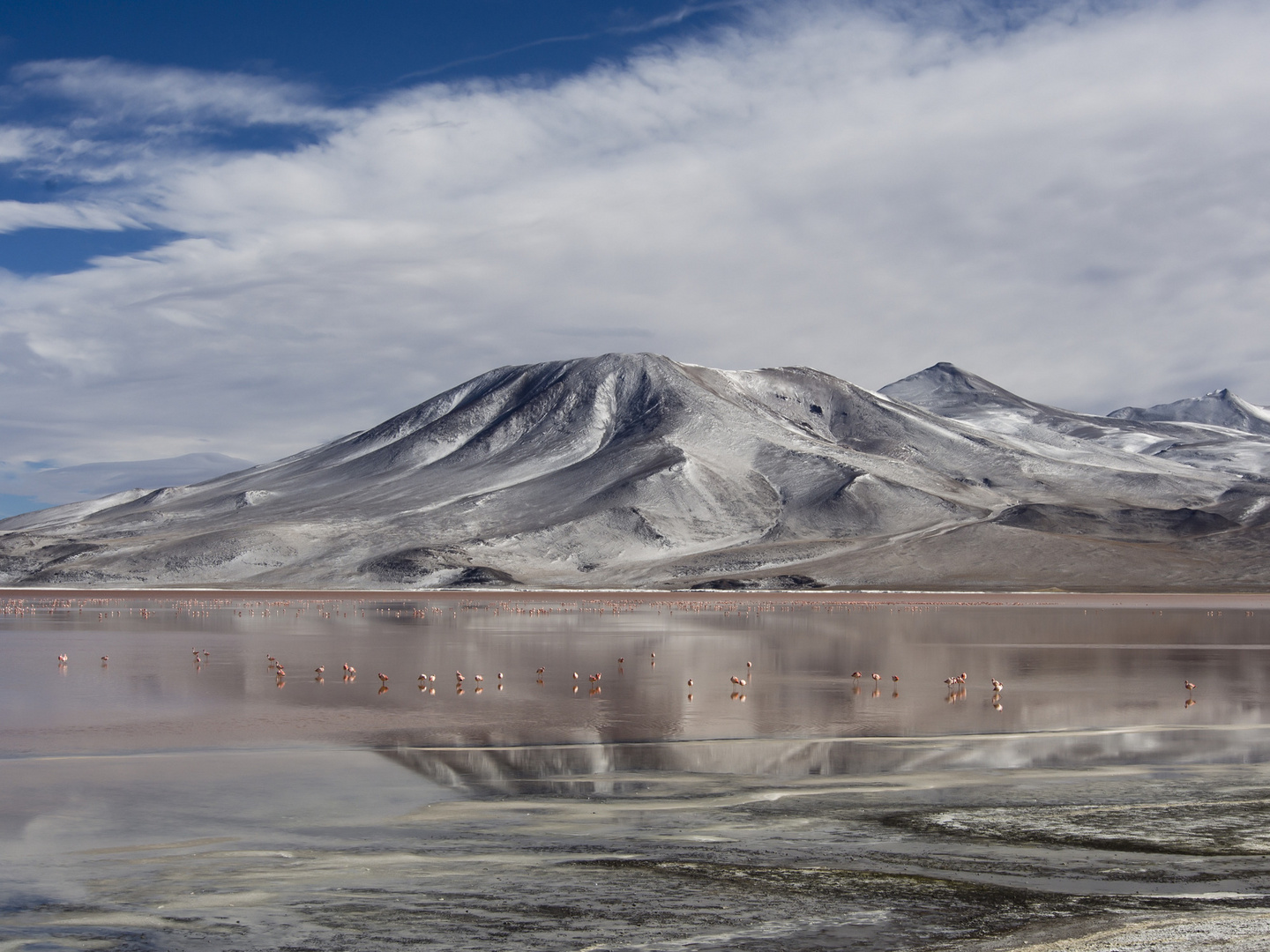 Laguna Colorada, Bolivien