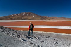 Laguna Colorada Bolivien 4278m