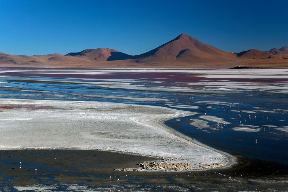 Laguna Colorada Bolivien 4278m