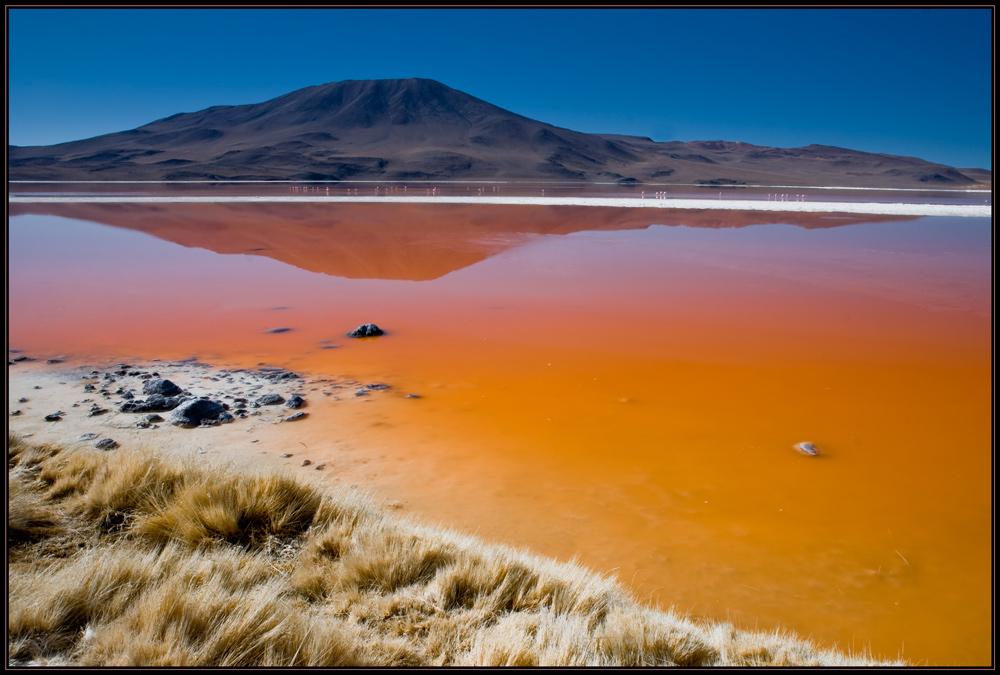 Laguna Colorada - Bolivien