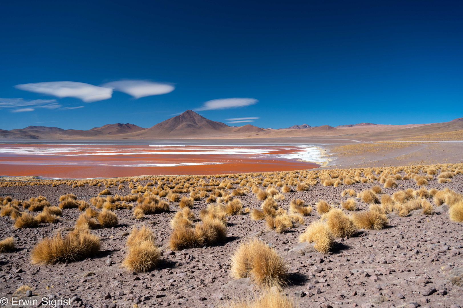 Laguna Colorada - Bolivien