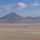 Laguna Colorada