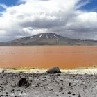 Laguna colorada