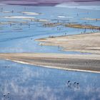 Laguna Colorada