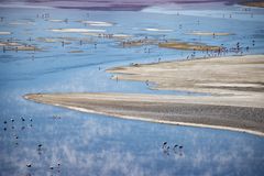 Laguna Colorada