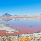 Laguna Colorada