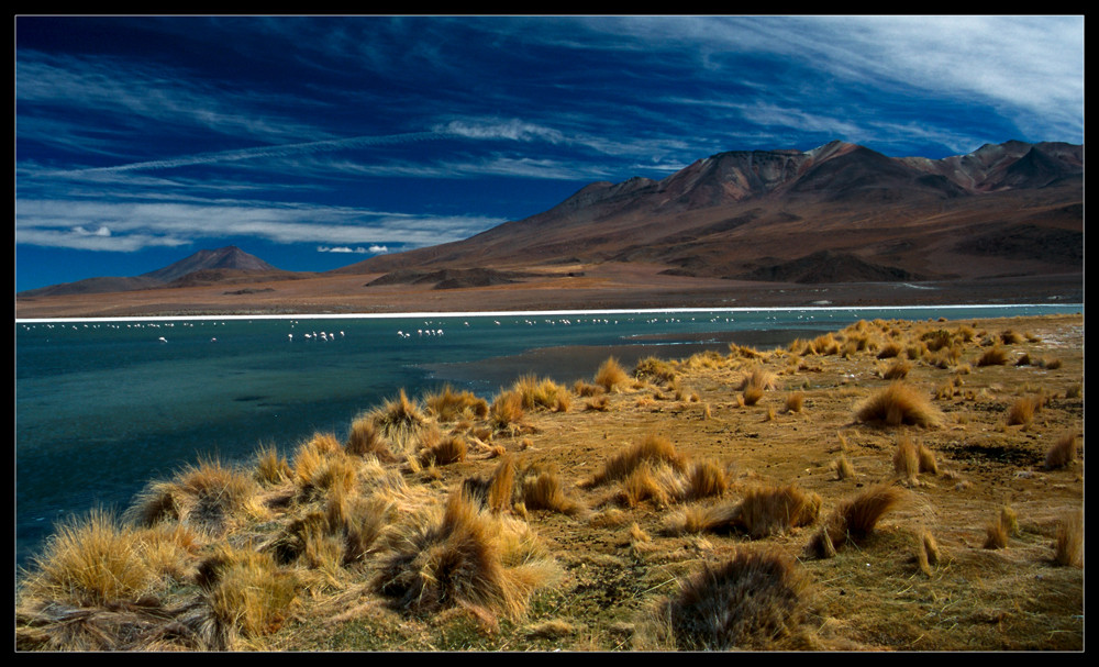 Laguna Colorada