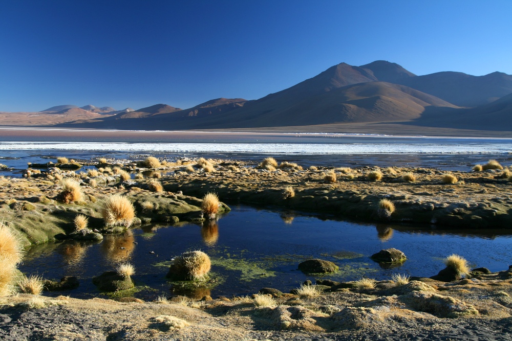 Laguna Colorada