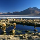 Laguna Colorada