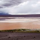 Laguna Colorada