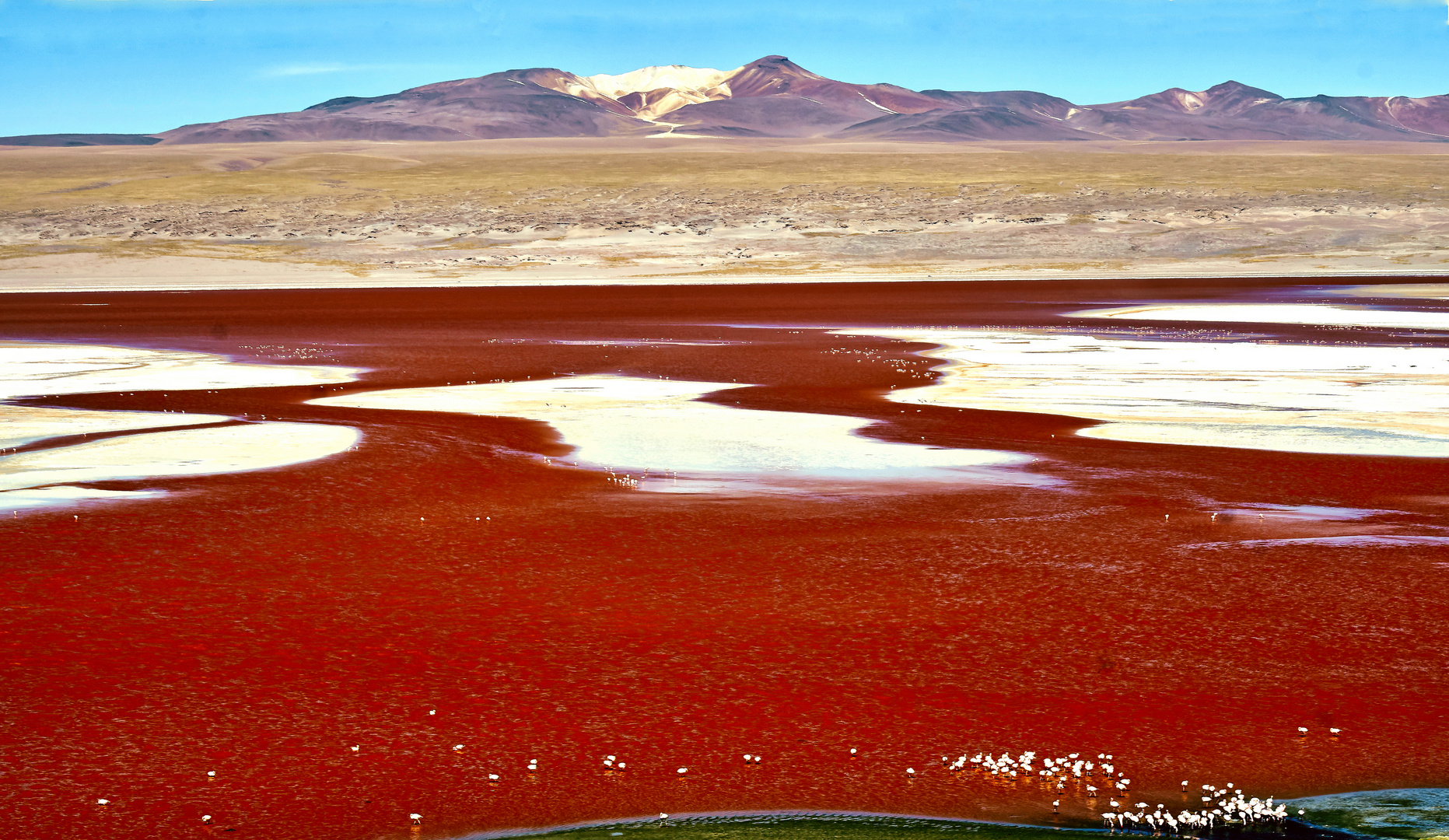 Laguna Colorada