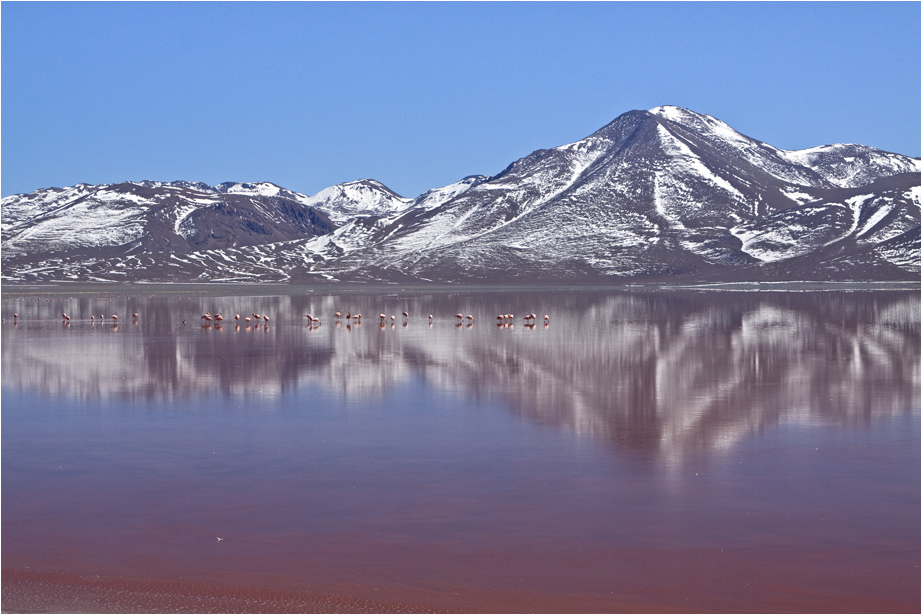 Laguna Colorada