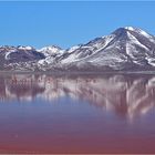 Laguna Colorada