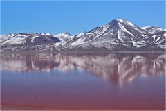 Laguna Colorada