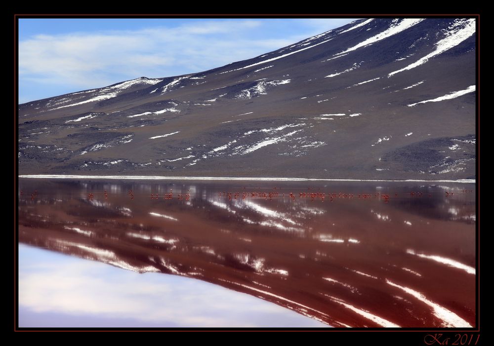 Laguna Colorada