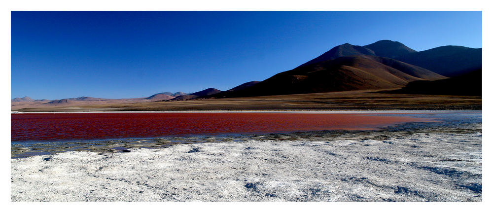 laguna Colorada Höhe:4750m