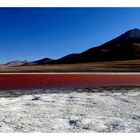 laguna Colorada Höhe:4750m