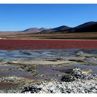 Laguna Colorada Höhe:4750m