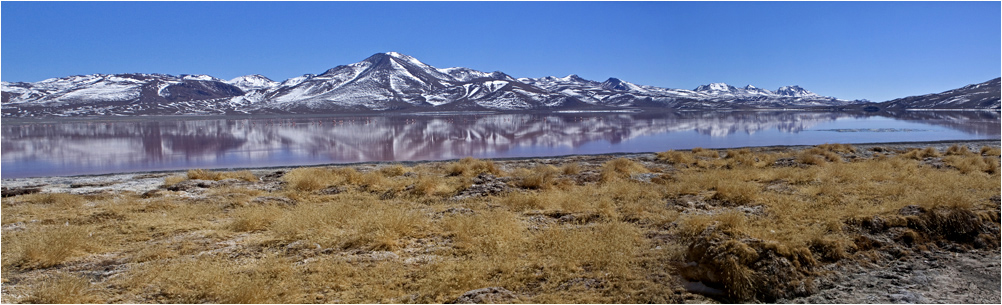 Laguna Colorada II