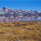 Laguna Colorada II