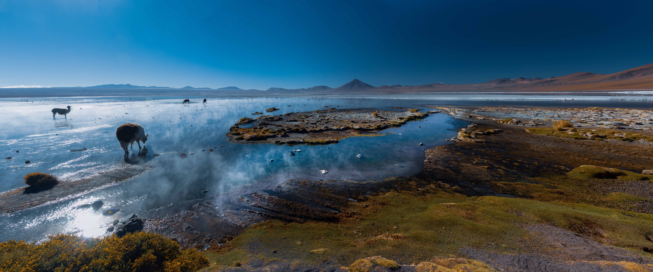 Laguna Colorada im Morgenlicht