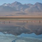 Laguna Colorada im Reserva Nacional de Fauna Andina Eduardo Abaroa Boliviens II