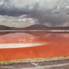 Laguna Colorada im Reserva Nacional de Fauna Andina Eduardo Abaroa