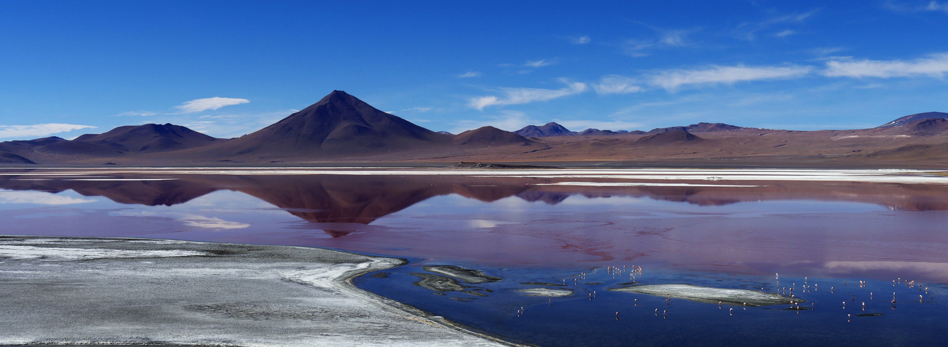 Laguna Colorada in der Atacama von Bolivien