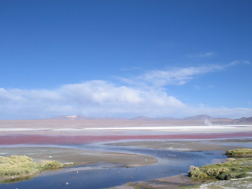 Laguna colorada mit Farbenmix