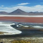 Laguna Colorada (Reload)