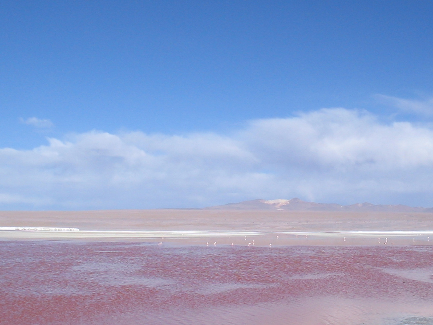 Laguna colorada roja