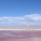 Laguna colorada roja