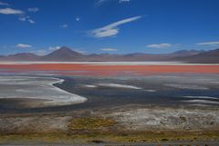 Laguna Colorado Bolivien
