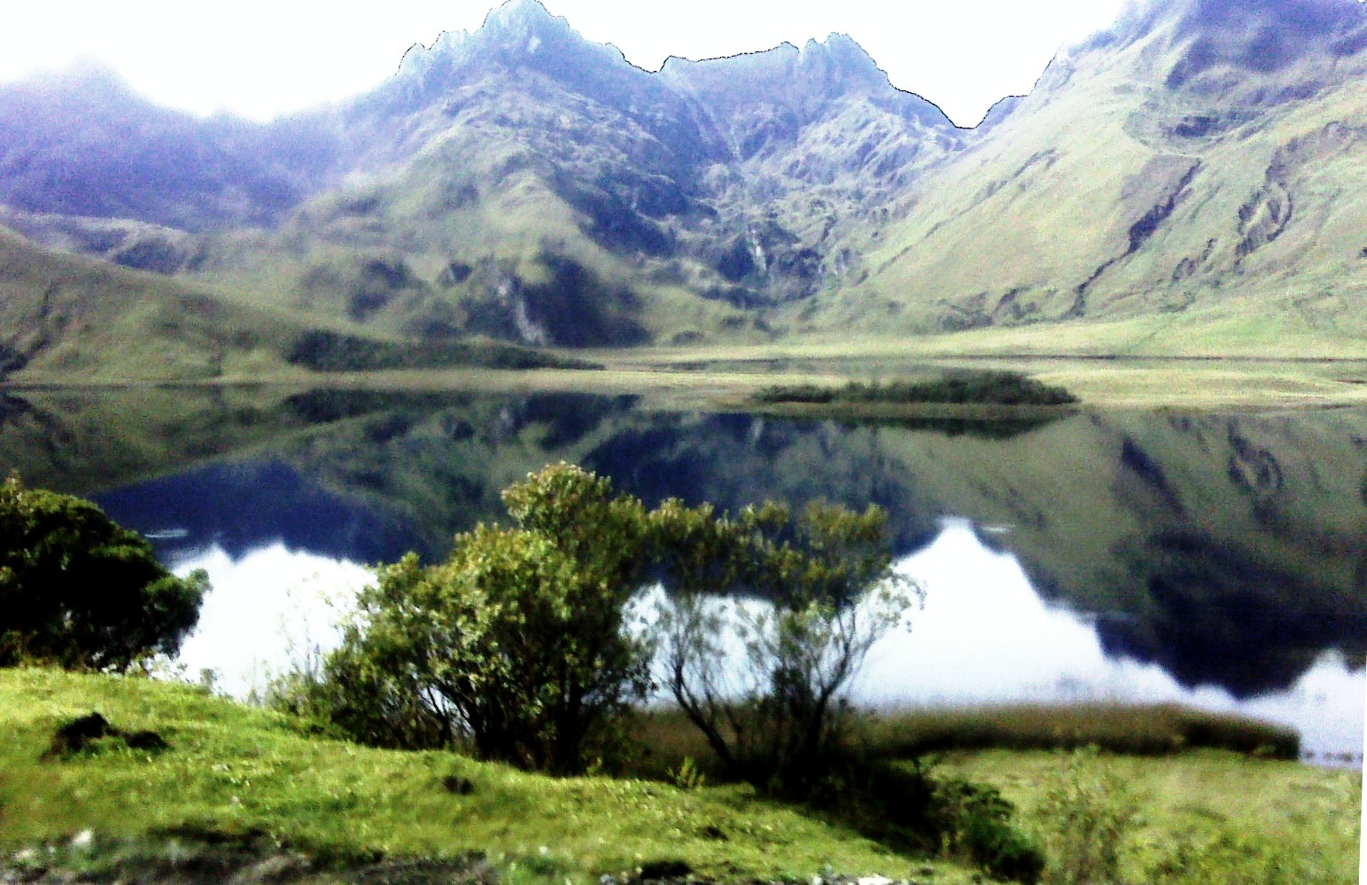 laguna de Atillo, Chimborazo-Ecuador q 3500 m snm