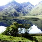 laguna de Atillo, Chimborazo-Ecuador q 3500 m snm