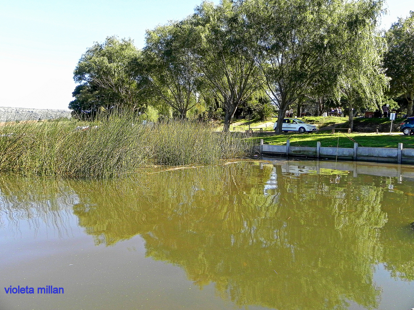 LAGUNA DE BALCARCE