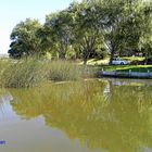 LAGUNA DE BALCARCE