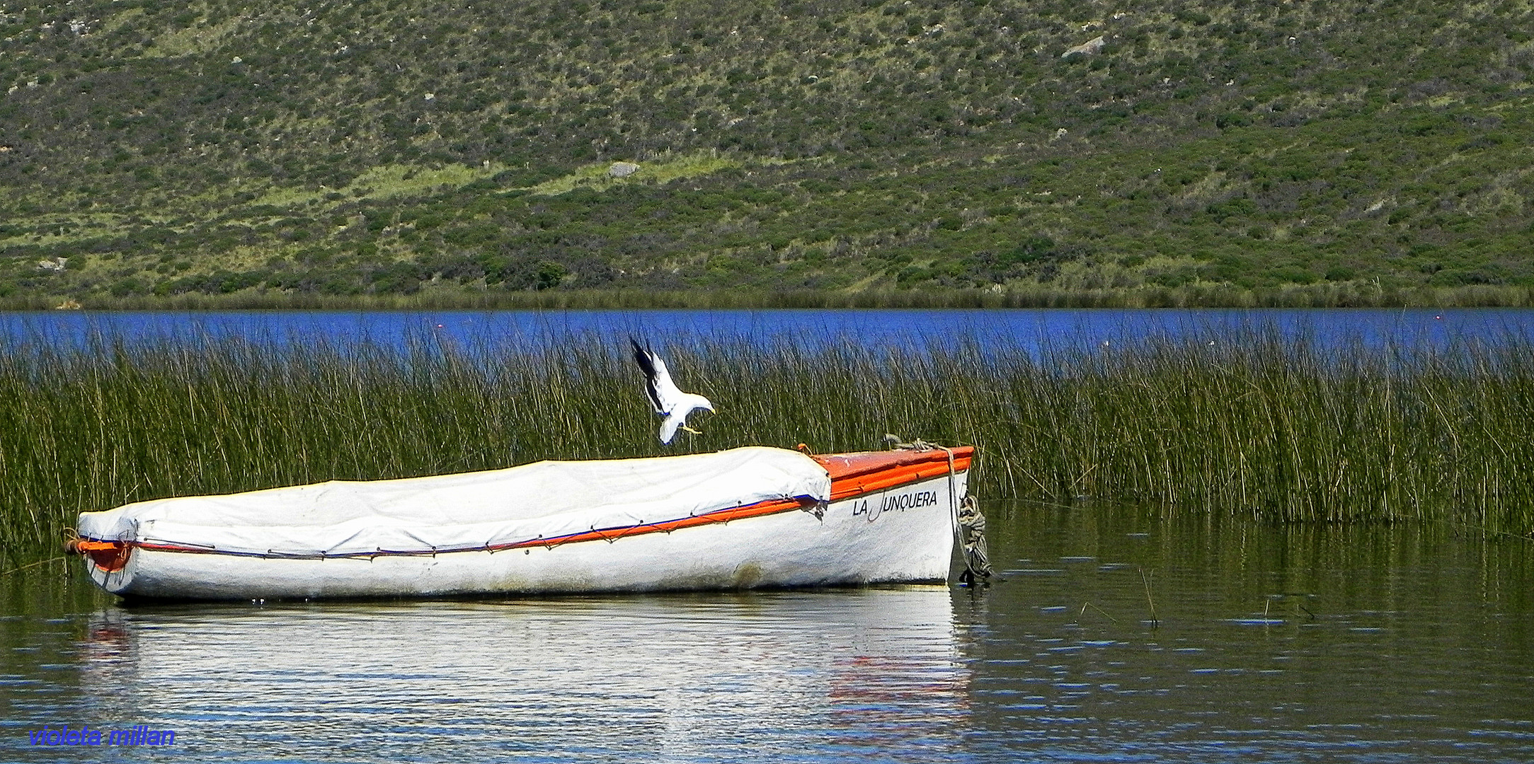 LAGUNA DE BALCARCE,LA TIERRA DE FANGIO